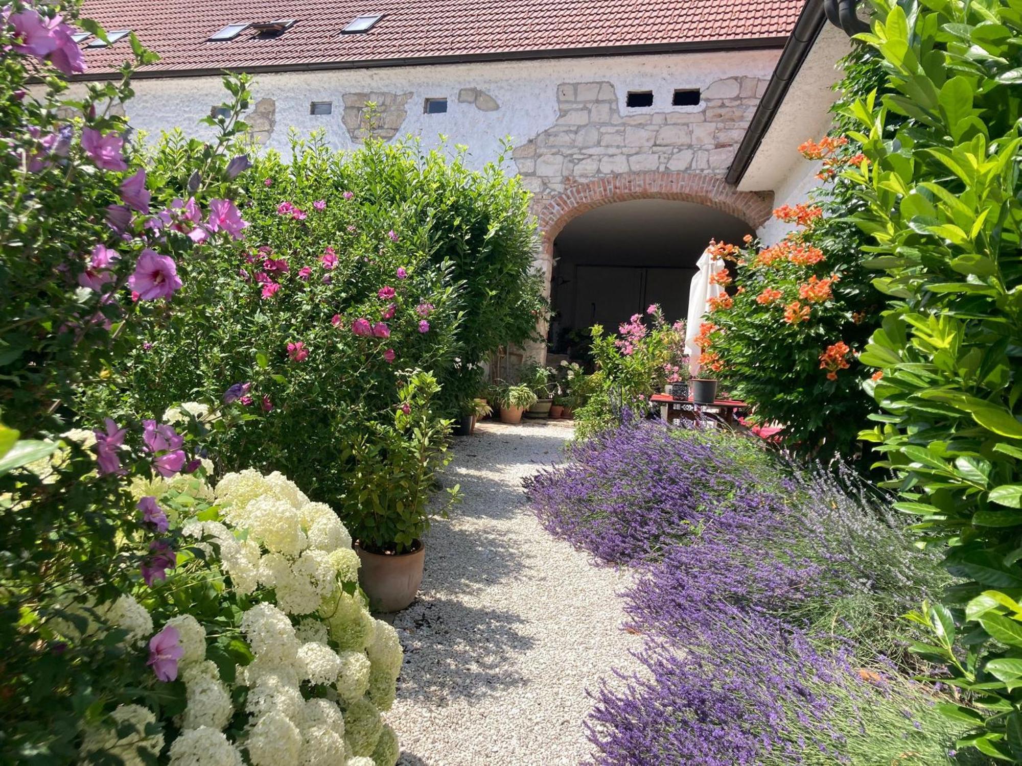メルビッシュ・アム・ゼーHaus Diogenesアパートメント エクステリア 写真